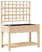 vidaXL - Tuinbak - met - Trellis - en - Plank - 115x59x152 - cm - Massief - Hout - Vuren