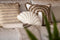 Dutch Decor MARINA - Sierkussen 45x45 cm - Natural - bruin - Inclusief binnenkussen
