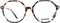 Sandro SD2034 52122 bril zonder sterke - Dames - Bruin