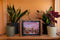 UNIDRAGON Houten Puzzel Voor Volwassenen Woosaic - Sakura - 500 stukjes - King Size 31x44 cm