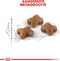 Royal Canin Kitten - Kattenvoer - 4 kg
