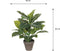 Mica Decorations Evergreen - Kunstplant H49 x Ø40 cm - Terracotta bloempot - Groen