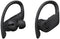 Beats Powerbeats Pro - Draadloze Oortjes - Zweet- en waterbestendig - Zwart