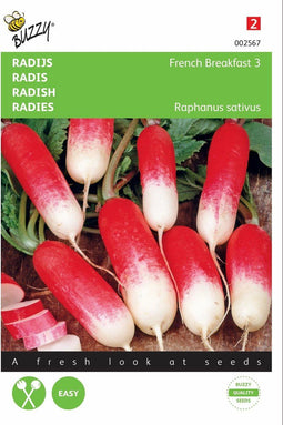 2 stuks - Buzzy - Radijs Halflange Rode Groot Witpunt