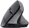 Trust Bayo+ - Draadloze Ergonomische Muis - Multi-device - Zwart