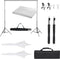 vidaXL - Fotostudioset - met - verlichtingsset - en - achtergrond