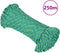 vidaXL - Boottouw - 5 - mm - 250 - m - polypropyleen - groen