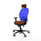 Piqueras y Crespo 1D036G2 - Bureaustoel - Hoofdsteun hoogteverstelbaar - Blauw Bruin