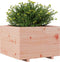 vidaXL - Plantenbak - 70x70x49,5 - cm - massief - douglashout