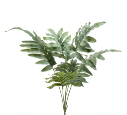 Buitengewoon de Boet - Kunst Phlebodium bush grey/ green 67 cm
