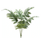 Buitengewoon de Boet - Kunst Phlebodium bush grey/ green 67 cm