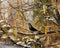 Eames House Bird - zwart