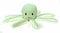 Buster & beau boutique octopus (28X10X10 CM)