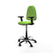 Piqueras y Crespo B2D01RN - Bureaustoel - Hoogteverstelbaar met armleuning - Pistache