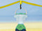 Easy Camp Meteor 200 Koepeltent - Blauw - 2 Persoons