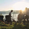 Easy Camp Tripod houtskoolgrill Deluxe grijs/zwart