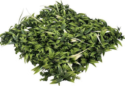 EasyLawn Grass Kunstplantenmat wandplant kunststof Fresh 1m2