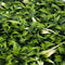 EasyLawn Grass Kunstplantenmat wandplant kunststof Fresh 1m2