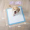 Easypets Puppy Training Pads - 105 stuks - Zindelijkheidstraining - Hondentoilet - 58 x 58 cm