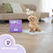 Easypets Puppy Training Pads - 105 stuks - Zindelijkheidstraining - Hondentoilet - 58 x 58 cm