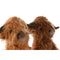 Deurhouder Home ESPRIT 29 x 23 x 29 cm (2 Stuks)