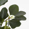 Mica Decorations Eucalyptus - Kunstplant in Bloempot - H75 x Ø15 cm - Groen