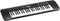 Casio CTK-240 - MIDI keyboard - 49 toetsen 100 klankkleuren 100 ritmes - Zwart