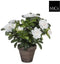Mica Decorations Azalea - Kunstplant in Bloempot - H27 x Ø20 cm - Wit