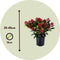Plant in a Box - Skimmia japonica 'Rubella' - Set van 2 - Pot 15cm - Hoogte 35-45cm