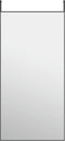 vidaXL - Deurspiegel - 50x100 - cm - glas - en - aluminium - zwart