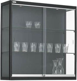 Wandvitrine 2 legborden 100x100x30cm Zwart