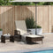 vidaXL - Ligbed - met - Kussen - Bruin - Poly - Rattan