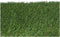 Astro-turf EDM 75835 gracefull Groen 2 x 5 m