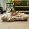 Scruffs Alpine - Hondenkussen - Luxe imitatie konijnenbont - Champagne - Large 100 x 70 cm