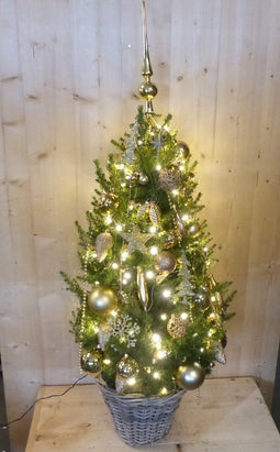 Echte kerstboom in mand met verlichting goud h130