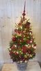 Echte kerstboom in mand met verlichting rood h130
