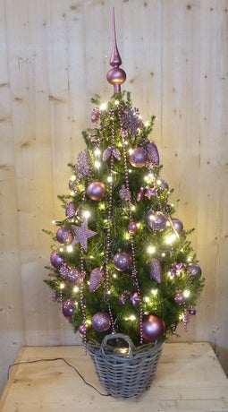 Echte kerstboom in mand met verlichting roze h130