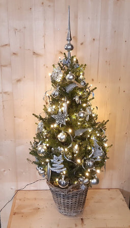 Echte kerstboom in mand met verlichting zilver h130