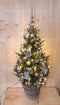 Echte kerstboom in mand met verlichting zilver h130