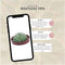 Echte Succulent groen in rode keramiek schaal - Ø12-14 cm - 5 cm - 1x Echeveria Pulidonis - kamerplant - vetplant