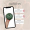 Echte Succulent Groen - Ø12-14 cm - 5 cm - 1x Echeveria Pulidonis - kamerplant - vetplant