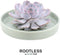 Echte Succulent Lila in groene keramiek schaal - Ø12-14 cm - 5 cm - 1x Echeveria Lilacina - kamerplant - vetplant