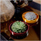Echte Succulent Lila in rode keramiek schaal - Ø12-14 cm - 5 cm - 1x Echeveria Lilacina - kamerplant - vetplant