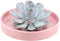 Echte Succulent Lila in roze keramiek schaal - Ø12-14 cm - 5 cm - 1x Echeveria Lilacina - kamerplant - vetplant