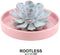 Echte Succulent Lila in roze keramiek schaal - Ø12-14 cm - 5 cm - 1x Echeveria Lilacina - kamerplant - vetplant