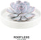 Echte Succulent Lila in witte keramiek schaal - Ø12-14 cm - 5 cm - 1x Echeveria Lilacina - kamerplant - vetplant