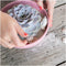 Echte Succulent Lila - Ø12-14 cm - 5 cm - 1x Echeveria Lilacina - kamerplant - vetplant