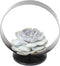 Echte Succulent lila op tafel standaard zwart - Ø12-14 cm - 5 cm - 1x Echeveria Lilacina - kamerplant - vetplant