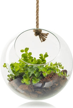 Eco bolvaas met touw 'olga' d20 cm