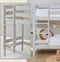 ECO Comfort stapelbed 90x200 cm met lattenbodem, Duif Grijs, ECO-gecertificeerd FSC-hout, Massief Grenenhout, Lak op Waterbasis, Gemaakt in de EU, 10 jaar Fabrieksgarantie